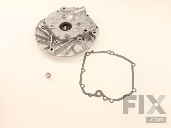 8982399-1-M-Briggs and Stratton-498983-Sump-engine