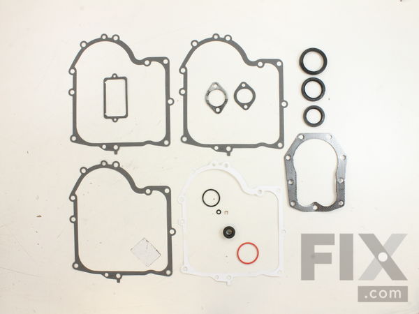 8983439-1-M-Briggs and Stratton-494241-Gasket Set-engine