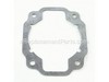 Cylinder Gasket – Part Number: 501289302