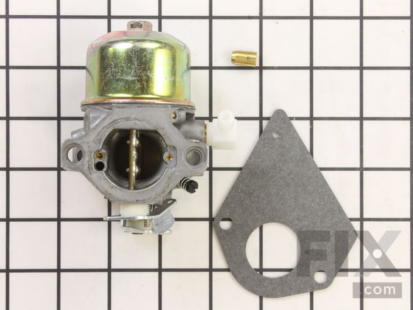8984030-1-M-Briggs and Stratton-495778-Carburetor