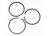 Ring Set-020 – Part Number: 499998