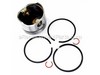 Piston Assembly-std – Part Number: 499907
