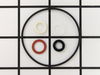 Gasket Set-carb – Part Number: 492281