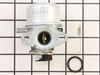 Carburetor – Part Number: 494216