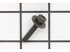 Screw – Part Number: 503217725