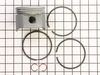 Piston Assembly-std – Part Number: 499956