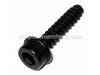 Screw – Part Number: 503216722
