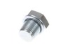 8990598-2-S-Husqvarna-503552201-Cylinder Plug