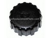 Tank Cap – Part Number: 508031910