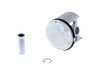 Piston – Part Number: 504017002