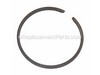 Ring Piston – Part Number: 530026413