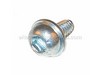 9005398-1-S-Husqvarna-530401467-Screw w/Washer