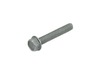 Screw – Part Number: 532199687