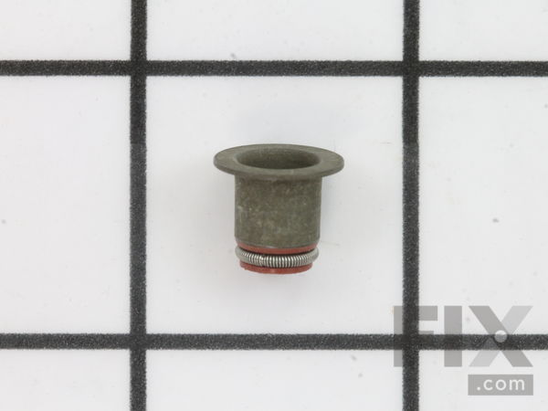 9036495-1-M-Briggs and Stratton-590534-Seal-Valve