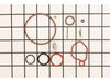 Brush Spring – Part Number: 590589