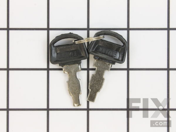9037155-1-M-Briggs and Stratton-590996-Key Set