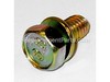 Screw, W/Lock Washer – Part Number: 66476GS