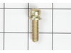 Screw (T-30, 5/16-18x1-3/32) – Part Number: 650378