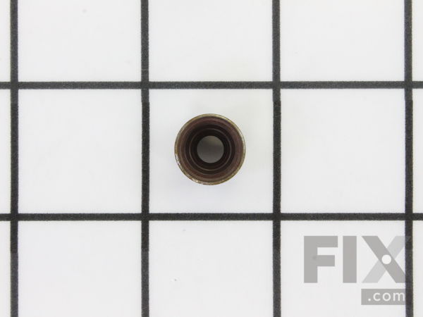 9064027-1-M-Briggs and Stratton-691963-Seal-valve