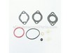 Gasket Set-Carb – Part Number: 695439