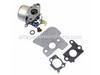 Carburetor – Part Number: 698056