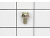 Screw – Part Number: 699491