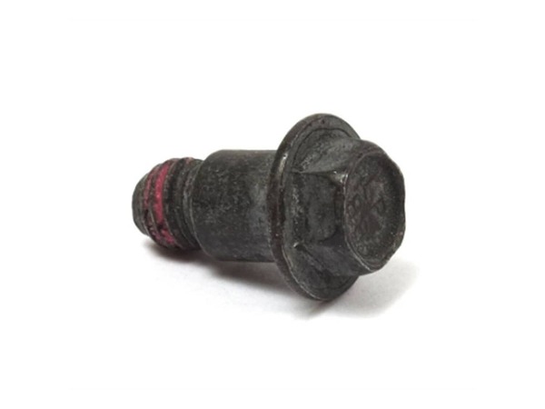 9066981-1-M-Briggs and Stratton-699201-Screw