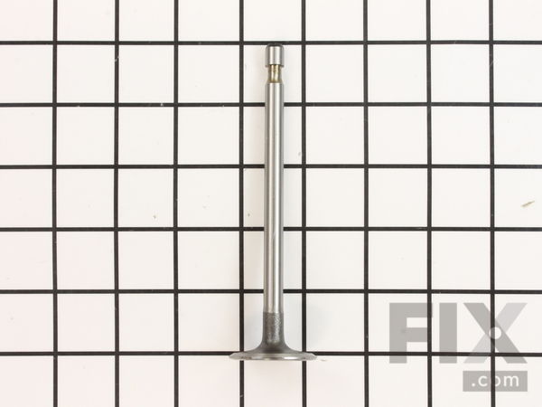 9072433-1-M-Briggs and Stratton-690429-Valve-intake