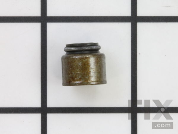 9073136-1-M-Briggs and Stratton-690968-Seal-valve
