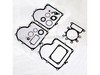 Gasket Set-engine – Part Number: 691580