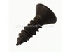 Screw-oval Hd 10 X – Part Number: 710-0837