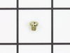 Plug-Carburetor – Part Number: 710679