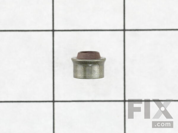 9091508-1-M-Briggs and Stratton-710979-Seal-valve