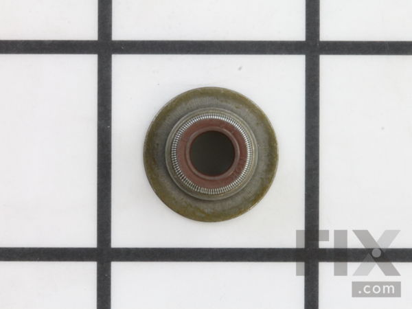 9092639-1-M-Briggs and Stratton-711634-Seal-Valve