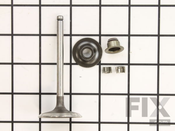 9093282-1-M-Briggs and Stratton-716080-Valve-Intake