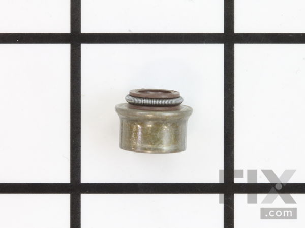 9093728-1-M-Briggs and Stratton-710863-Seal-valve