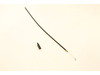 Throttle Cable – Part Number: 753-05883