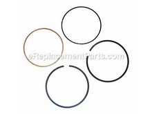 Ring Set – Part Number: 791787