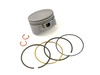 Piston Assembly – Part Number: 791786