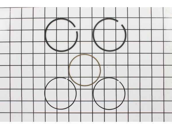9137610-1-M-Briggs and Stratton-791324-Ring Set-020