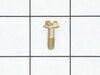 Screw – Part Number: 794836