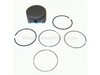 Piston Assembly – Part Number: 793519