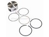Piston Assembly-020 – Part Number: 793648
