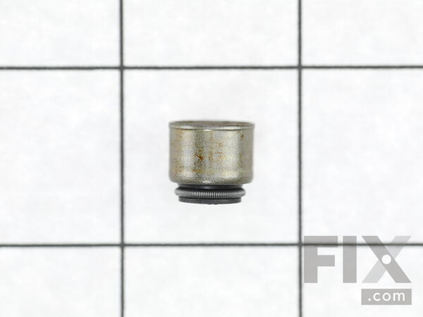 9138066-1-M-Briggs and Stratton-794086-Seal-valve