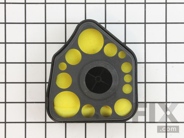 9138711-1-M-Briggs and Stratton-794070-Cleaner-Air