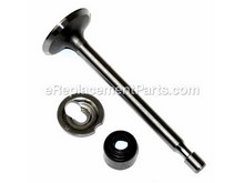 Valve-intake – Part Number: 795443