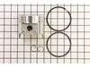 Piston Assembly – Part Number: 792365
