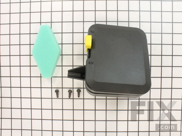 9139343-1-M-Briggs and Stratton-798293-Cleaner-air