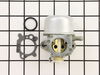 Carburetor – Part Number: 799870