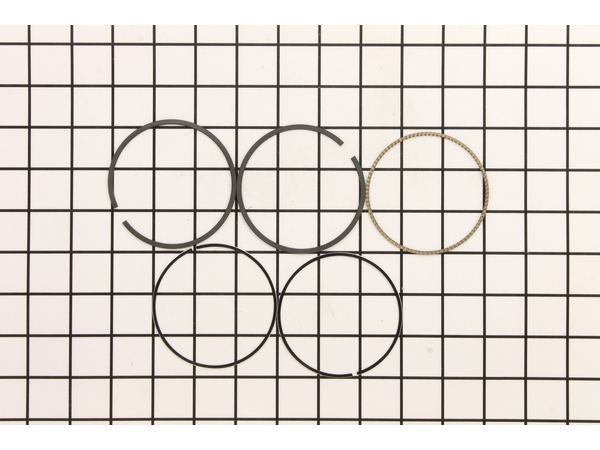 9140676-1-M-Briggs and Stratton-791792-Ring Set-020